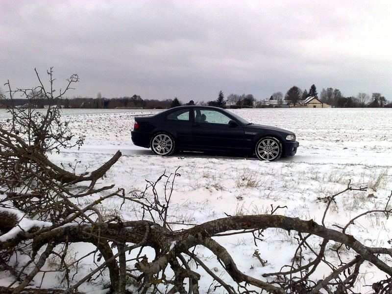 img-273901-1-49932206.jpg