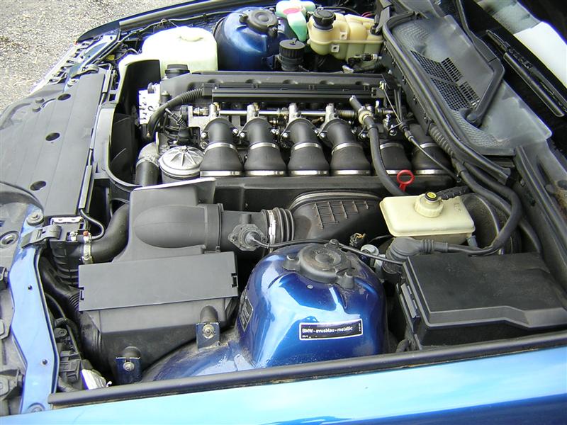 img-274053-3-dscn5170custom.jpg
