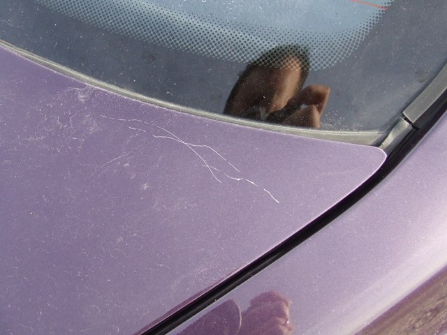 img-276886-7-0901190001.jpg