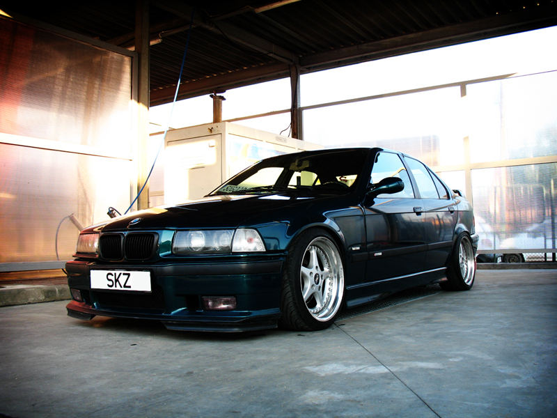 img-278145-20-v1rt.jpg