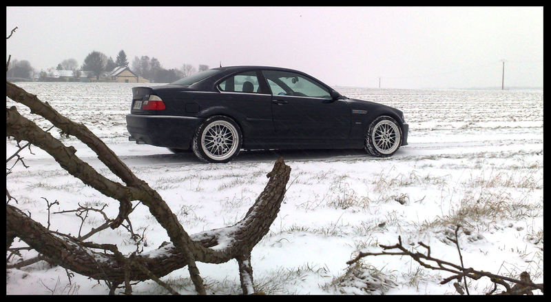 img-278934-3-08032008709.jpg