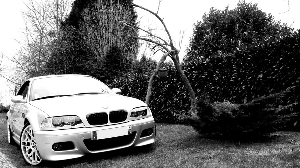 img-284407-1-065abc.jpg