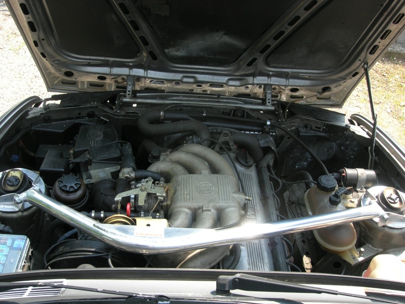 img-285999-4-325_ix10.jpg