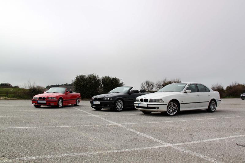 img-288068-3-img_0950---copie-1ae0174.jpg