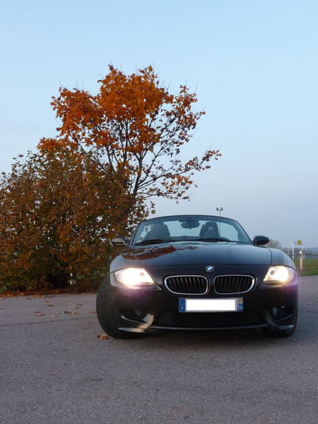 img-289077-6-z4m6.jpg