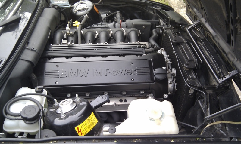 img-298109-7-imag0017.jpg