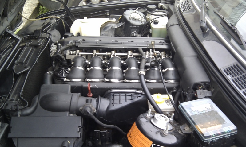 img-298109-8-imag0018.jpg