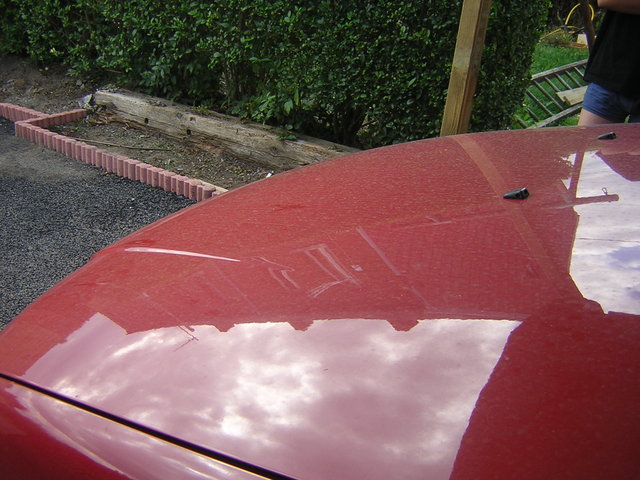img-302393-6-91664339.jpg