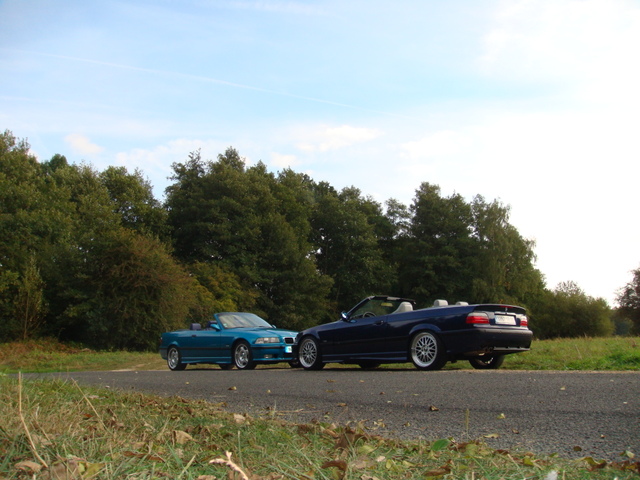 img-305379-3-diveres017.jpg