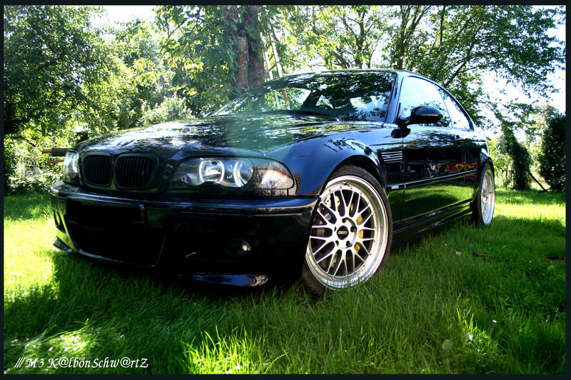 img-305946-2-netm.jpg