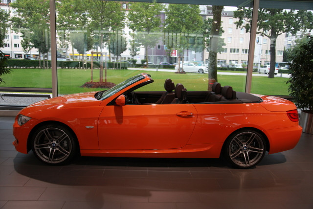 img-307710-3-u6wq9.jpg