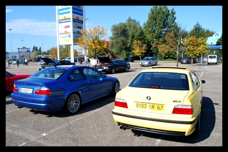 img-307815-7-dsc0318q.jpg