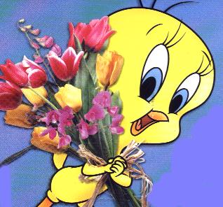 img-309377-1-titi avec fleurs.jpg