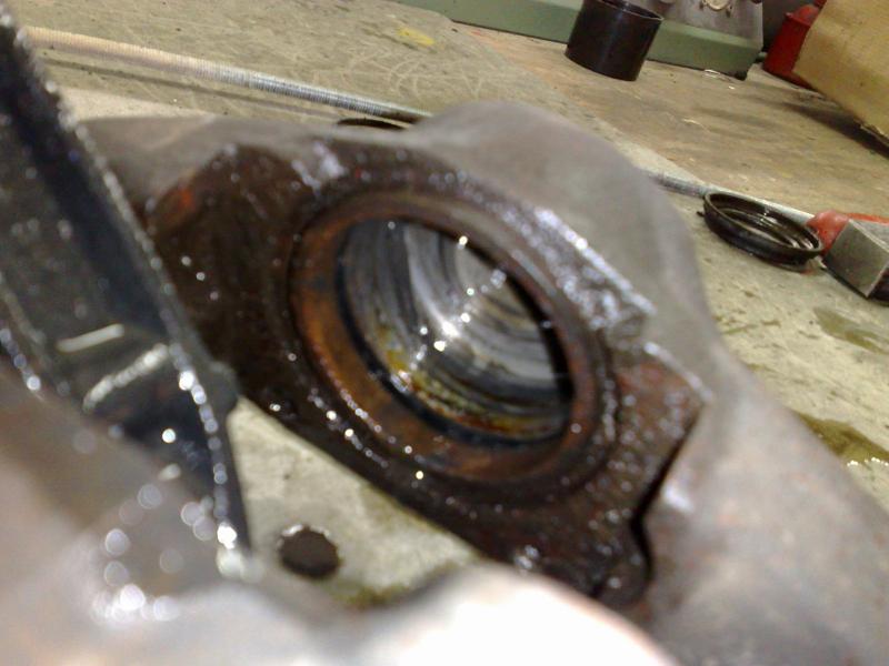 img-310394-3-11032009860-c2c012.jpg