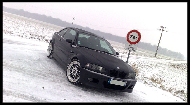 img-311274-1-08032008717.jpg