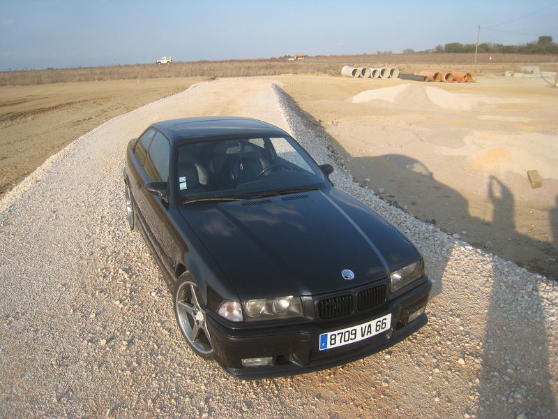 img2168zm6.jpg