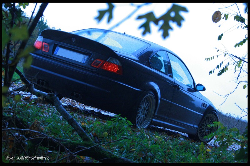 img-312548-1-mallecslforum1.jpg