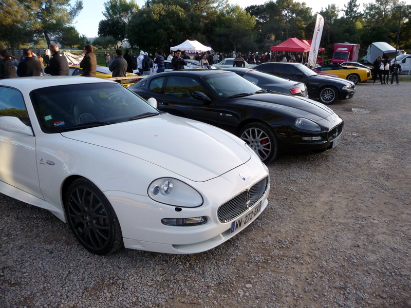 img-313383-3-677.jpg
