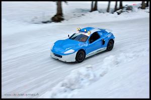 img-318820-9-th_14655_pole_passion_flaine_24_122_355lo.jpg