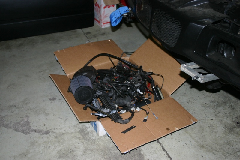 img-338039-1-img_1210.jpg