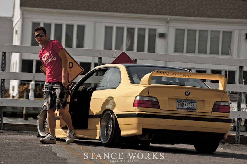 img-342577-1-Ollie-2.jpg