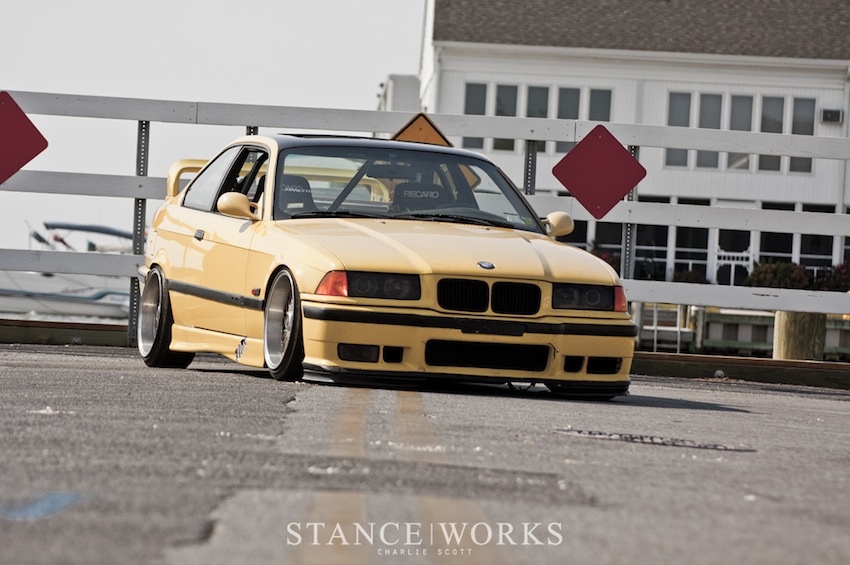 img-342577-2-Ollie-3.jpg