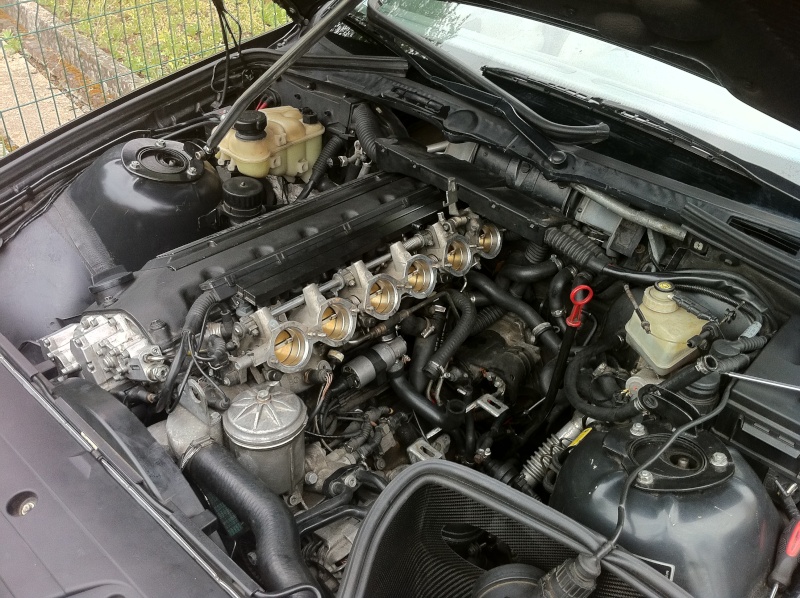 img-347613-1-newm3_10.jpg
