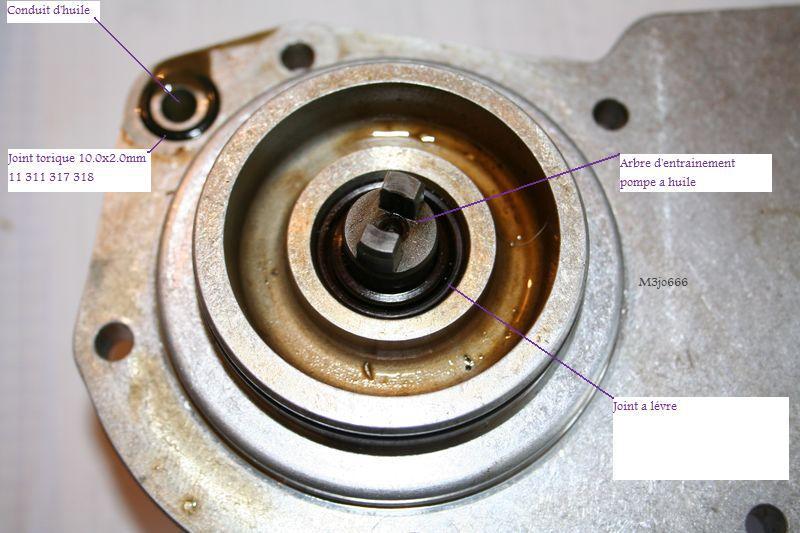 img-352448-2-7719513.jpg