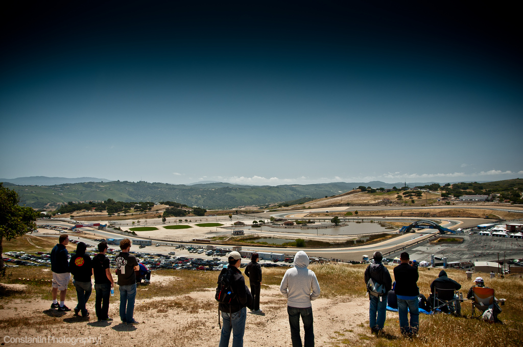 img-353271-1-7318705788804815ab85f44d2cb.jpg