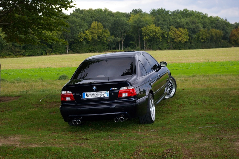 img-369465-2-1410.jpg