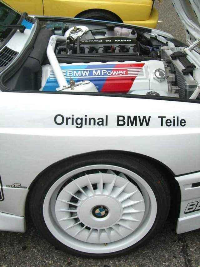 img-386413-10-7416296062641150583391.jpg