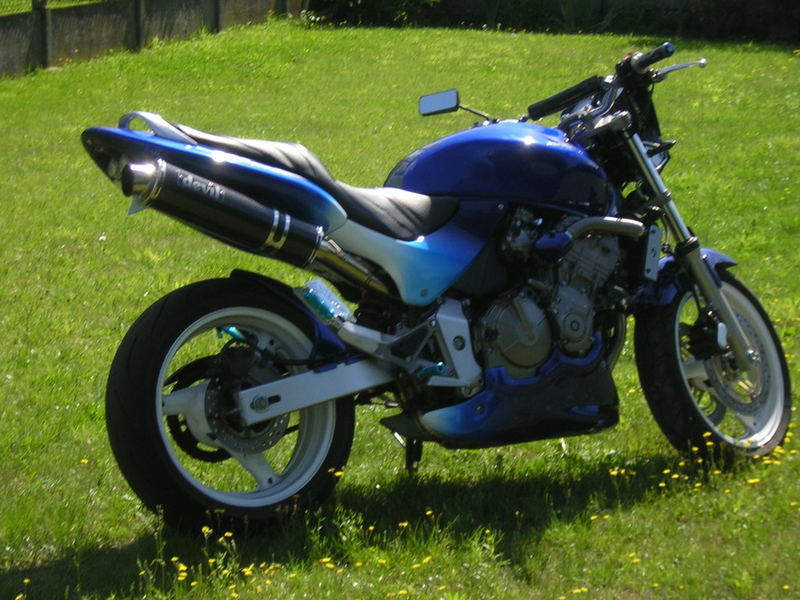 img-387652-2-hornet123.jpg