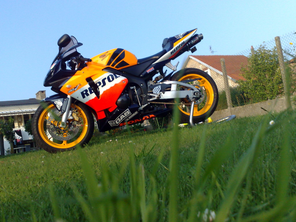 img-387652-6-18092008319.jpg