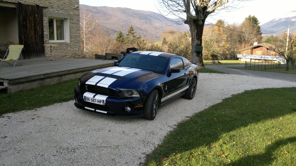 img-388811-1-radE2A41.jpg