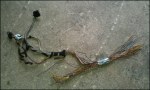 img-391189-17-imag3287.th.jpg