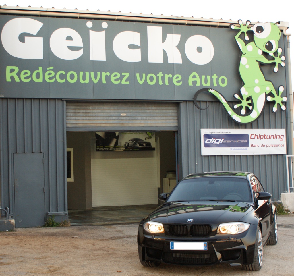 img-391924-23-1mgeicko2.jpg