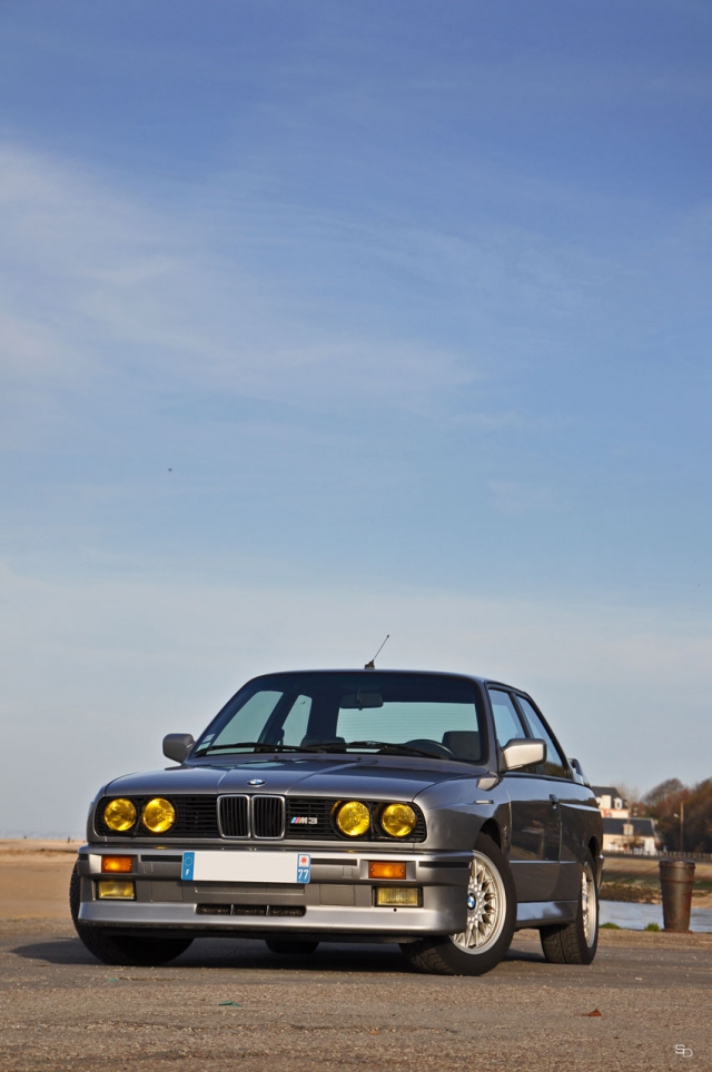 img-393567-3-tHzkJu6ELP.jpg