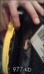 img-395873-6-imag0768t.th.jpg
