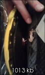 img-395873-7-imag0769l.th.jpg