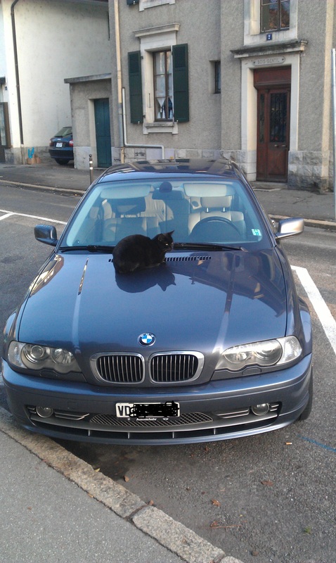 img-399695-1-imag0118v.jpg