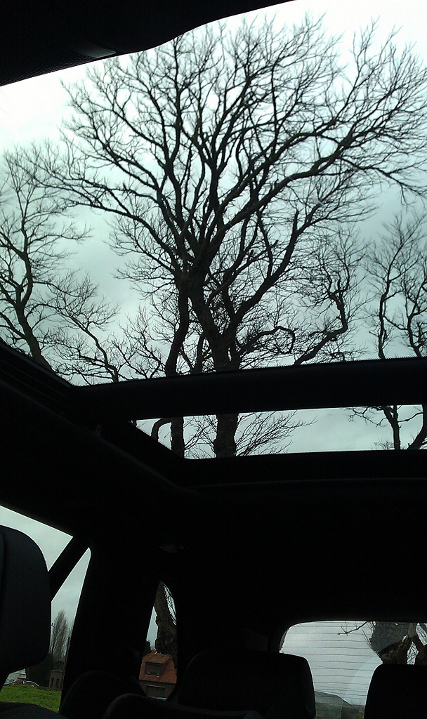 img-405664-3-x5-imag0324-big.jpg