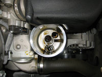 img-410761-1-12sm.jpg