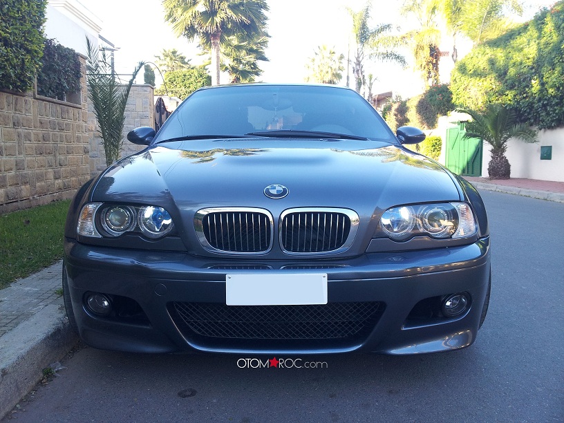 img-411464-1-mshark1.jpg