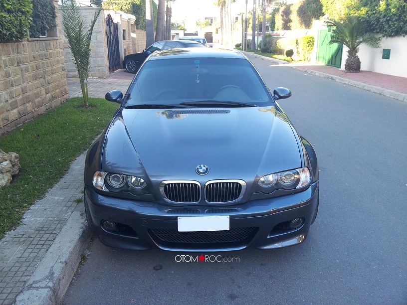 img-411464-2-mshark2.jpg