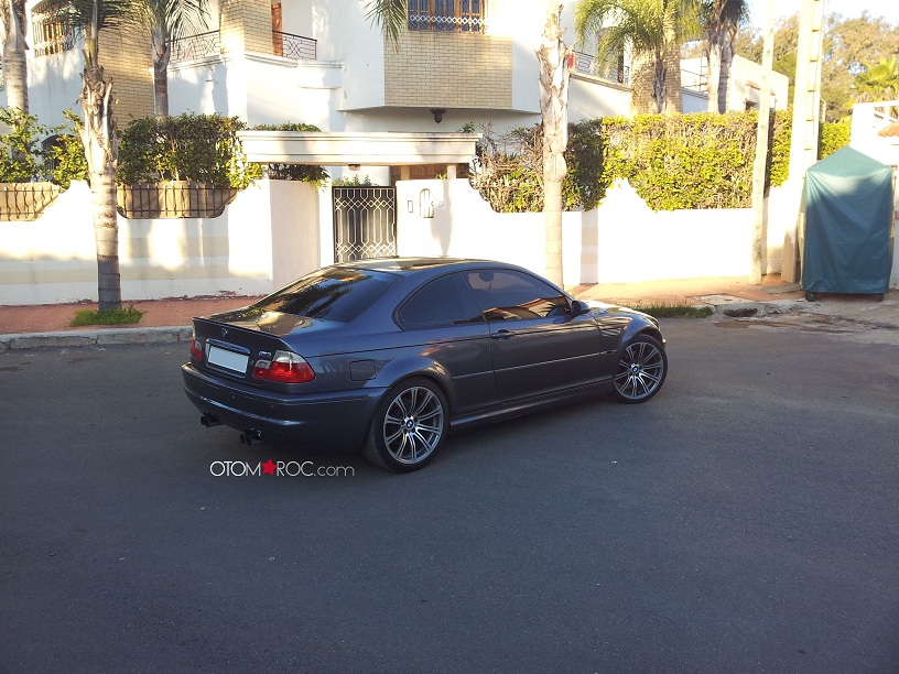 img-411464-4-mshark5.jpg