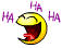 img-417087-1-678247.gif