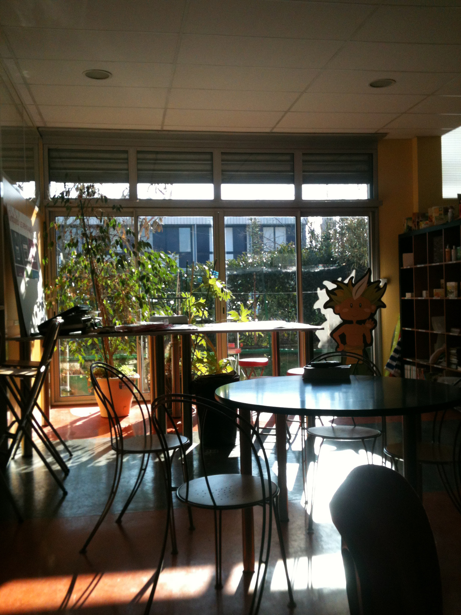 img-419936-1-388822photo.jpg