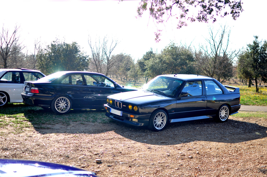 img-428793-6-dsc0018xrk.jpg