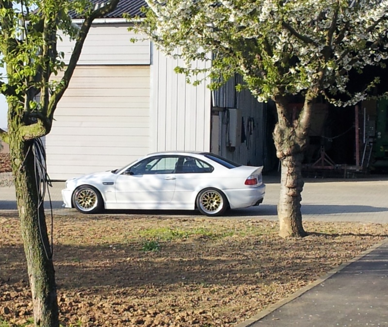 img-433482-3-2012-041.jpg