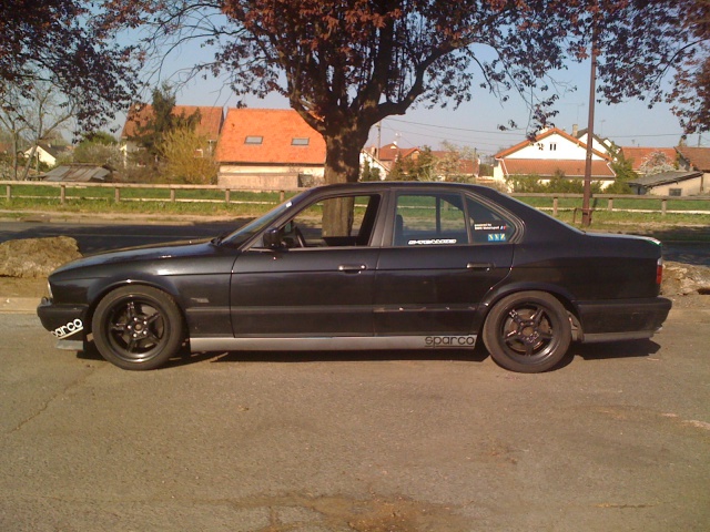 img-435335-1-766770IMG1043.jpg
